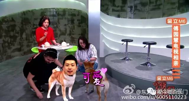 今夜百乐门金星化身岳母花式催生,今夜百乐门王祖蓝金星金靖完整版