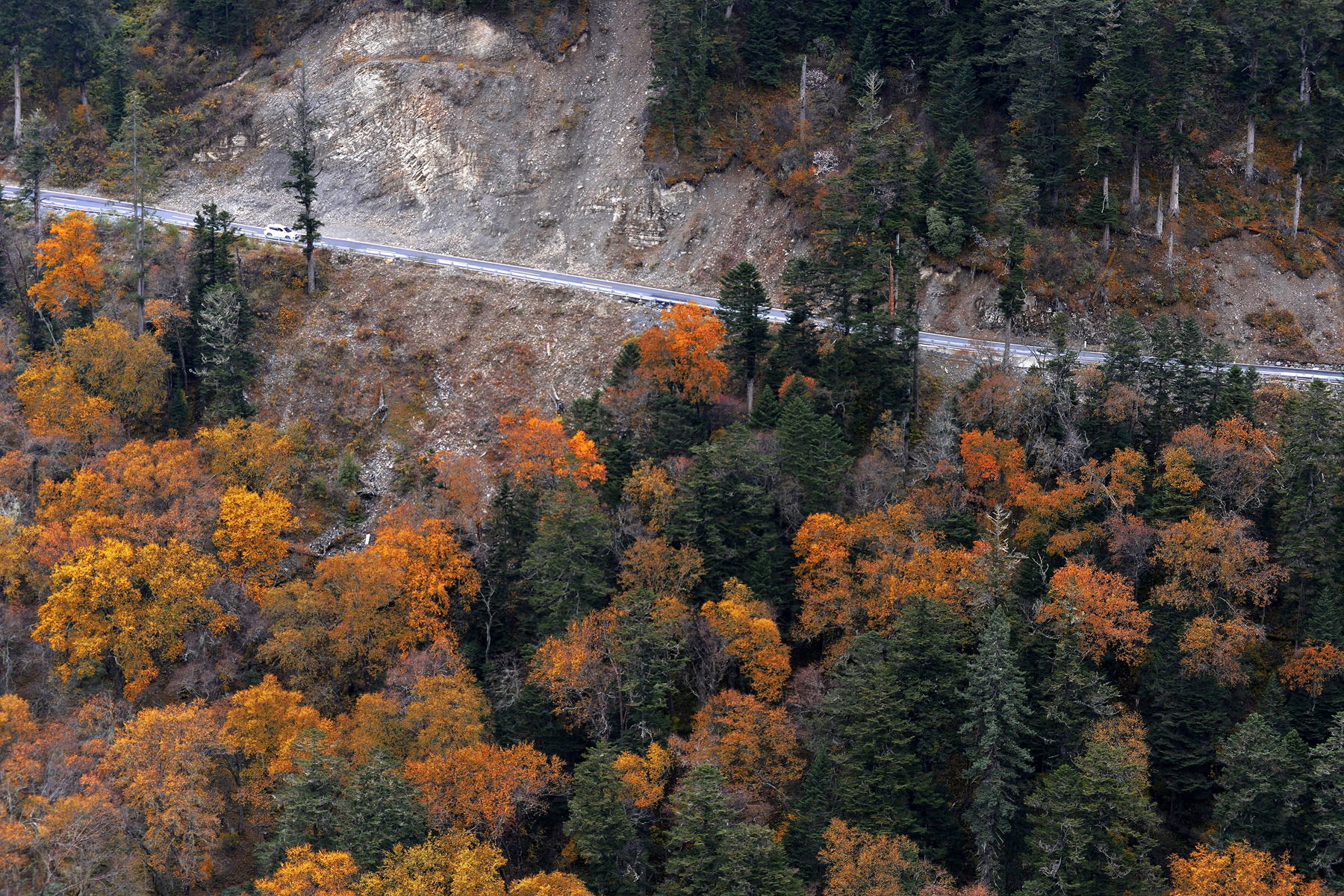 四川雅安宝兴夹金山天气预报,赞美宝兴夹金山红叶