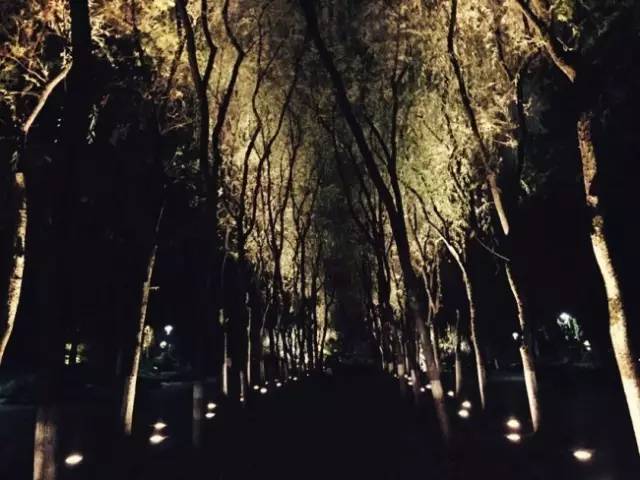 姐妹亲子装怎么拍,亲子装的闺蜜照