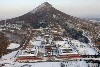 一只小鹦鹉怎么出壳,鹦鹉第一只出壳