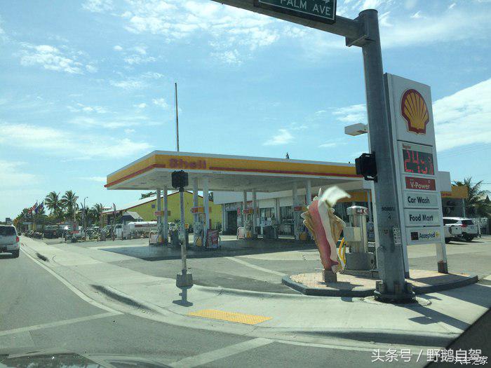 野鹅旅行,野鹅自驾无人区