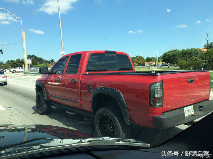 野鹅旅行,野鹅自驾无人区
