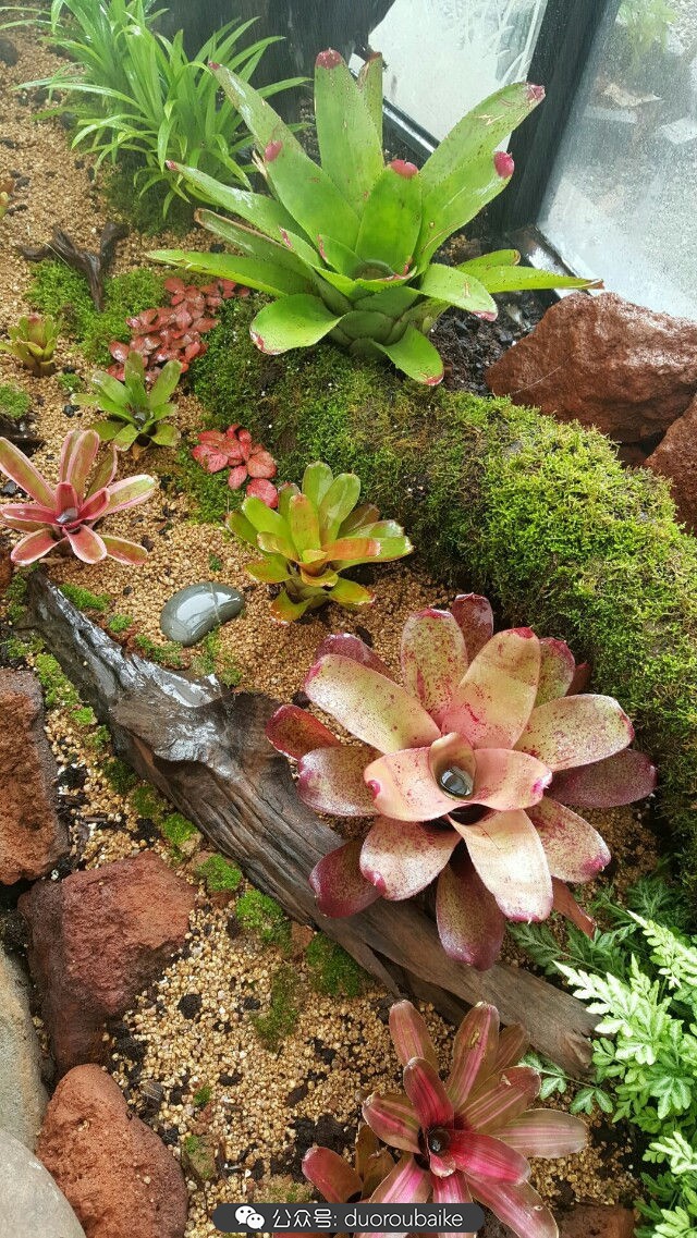 向阳的玻璃花房,玻璃花房设计建造