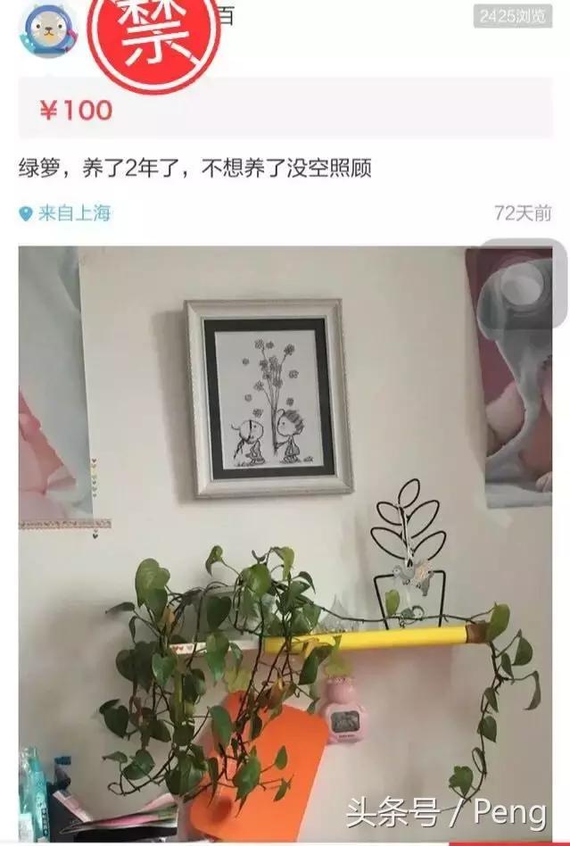 你这些破烂,就不要在网上卖了