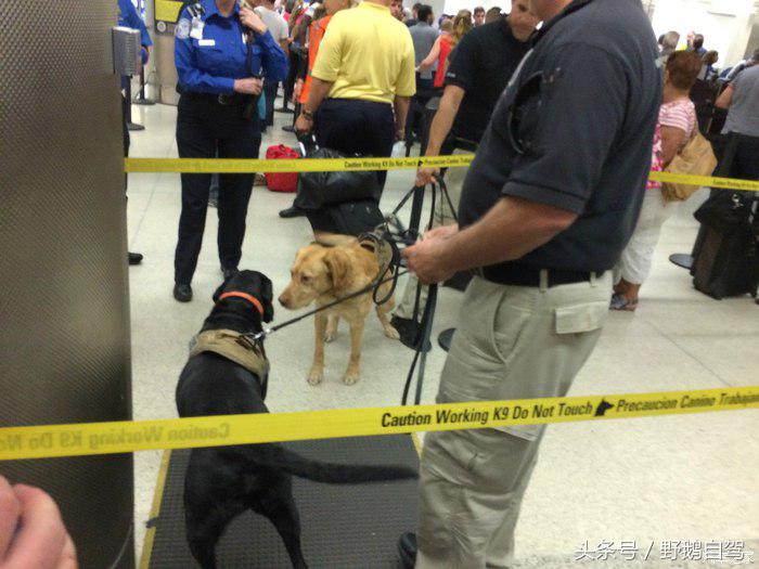 野鹅旅行,野鹅自驾无人区