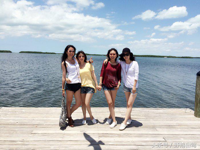 野鹅旅行,野鹅自驾无人区