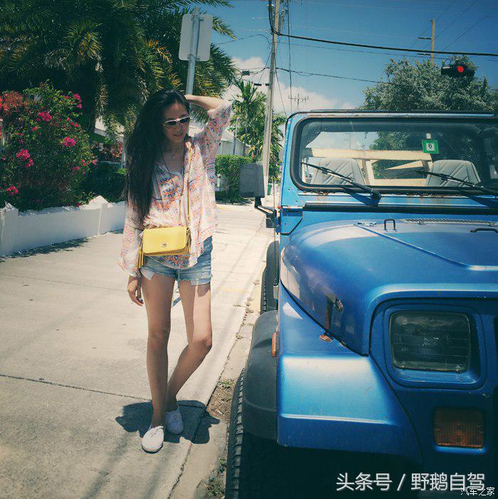 野鹅旅行,野鹅自驾无人区