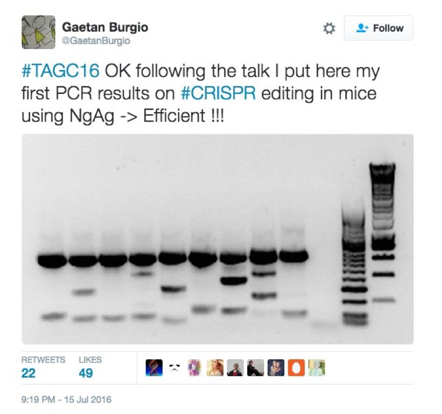 韩春雨谈重复实验失败,韩春雨专访完整视频