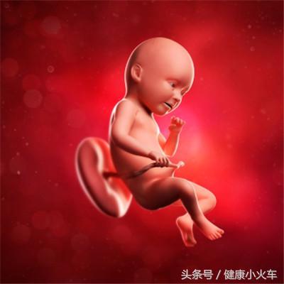 怀孕期第2次核酸检测什么时候来,怀孕期第一个月会来月经吗