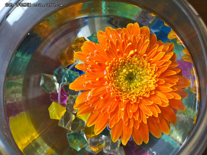 情怀落地,锤子情怀