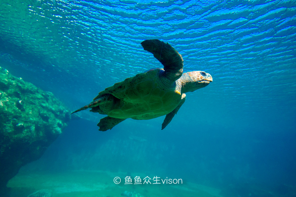 传说中的金银岛1993,金银岛宝藏传说是真的还是假的