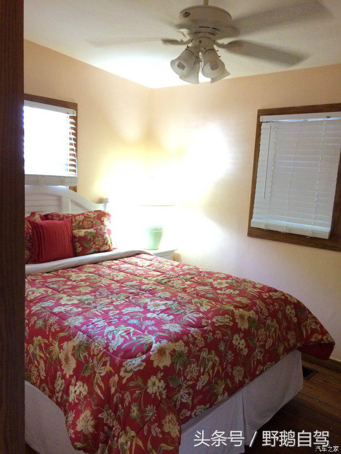 野鹅旅行,野鹅自驾无人区