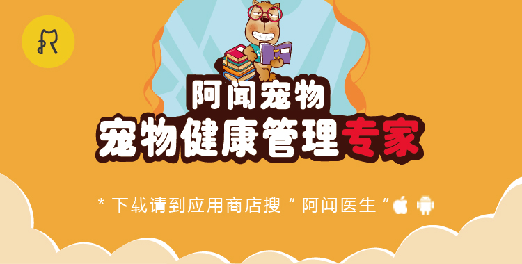 猫咪可以吃的和不可以吃的有什么,猫咪可以吃什么甜的