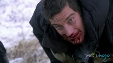 贝爷吃过最恶心的虫子,贝爷吃过十大恶心虫子