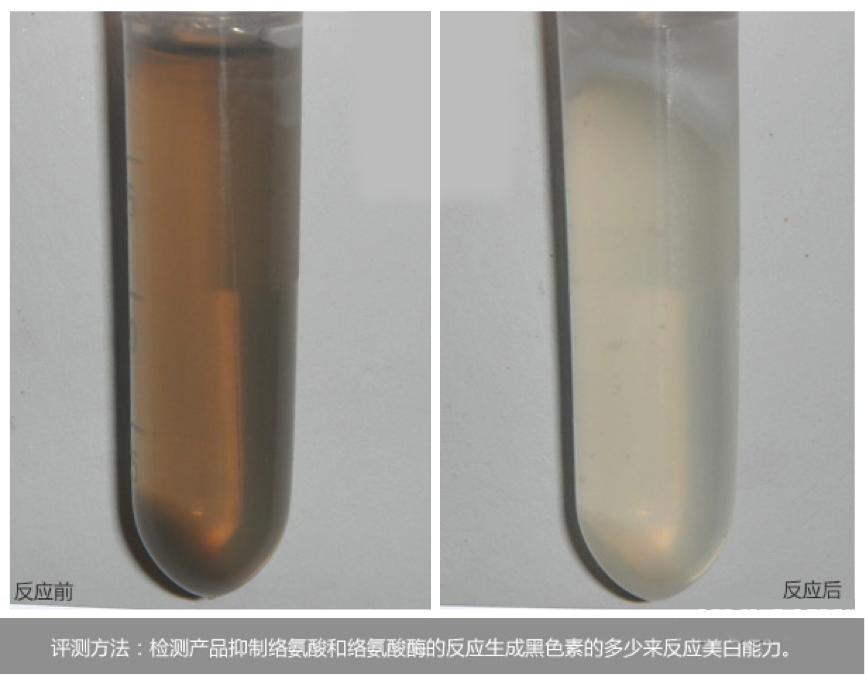 赫莲娜雅诗兰黛兰蔻精华比较,赫莲娜兰蔻和雅诗兰黛哪个好用