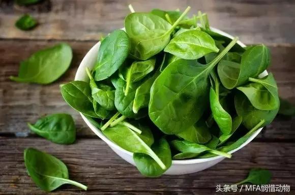 支气管哮喘秋天怎么调理 (季节性哮喘怎么治到秋天就犯病)