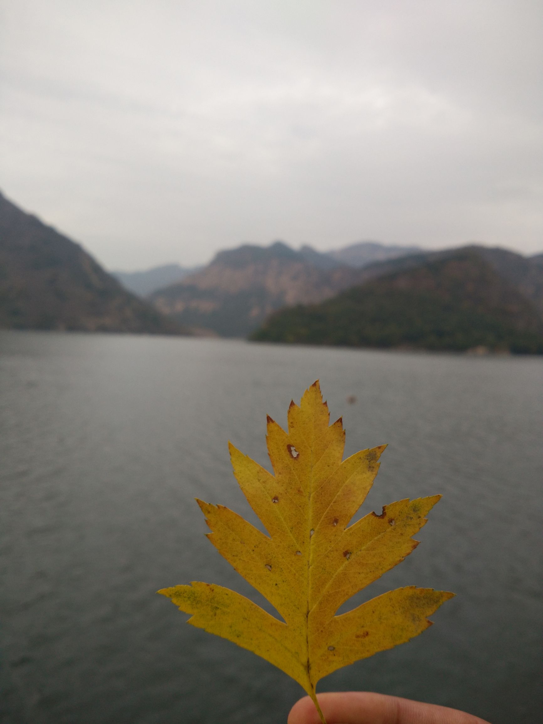 望峪山庄一日游攻略,望峪山