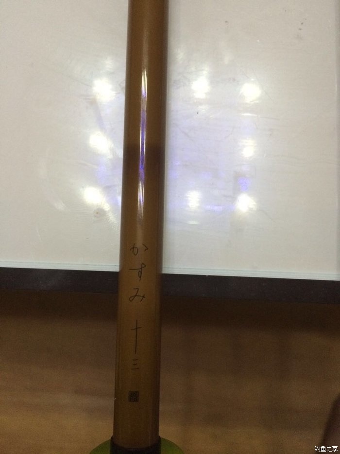 新手入门鱼竿推荐品牌,新手入门推荐鱼竿