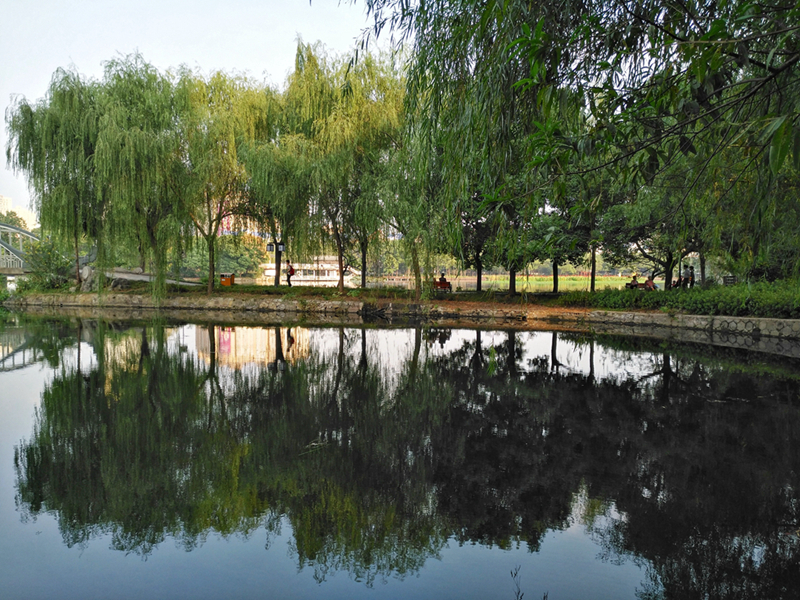 华为手机麦芒5评测,华为麦芒五升级鸿蒙