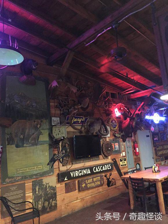 在美国旅游视频教学,美国自由行自驾游