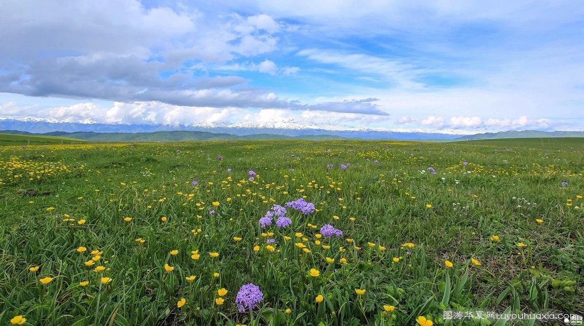 14张照片那拉提草原风景区 (美丽的那拉提草原真实图片)