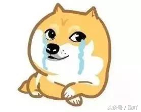 跑者装备都是在什么软件上买的,跑者选择跑步装备