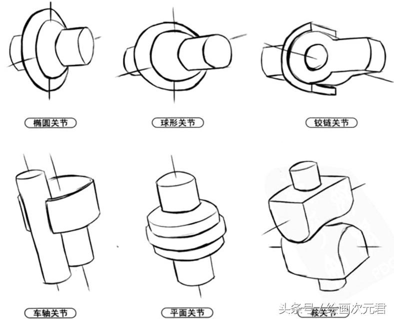 画好的人体结构画法,人体结构与动态基础教程