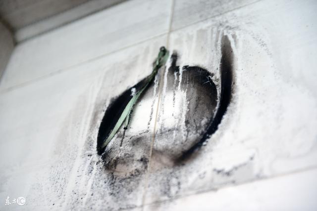 小说：婴灵中的霸主，七煞婴灵，究竟如何形成的？