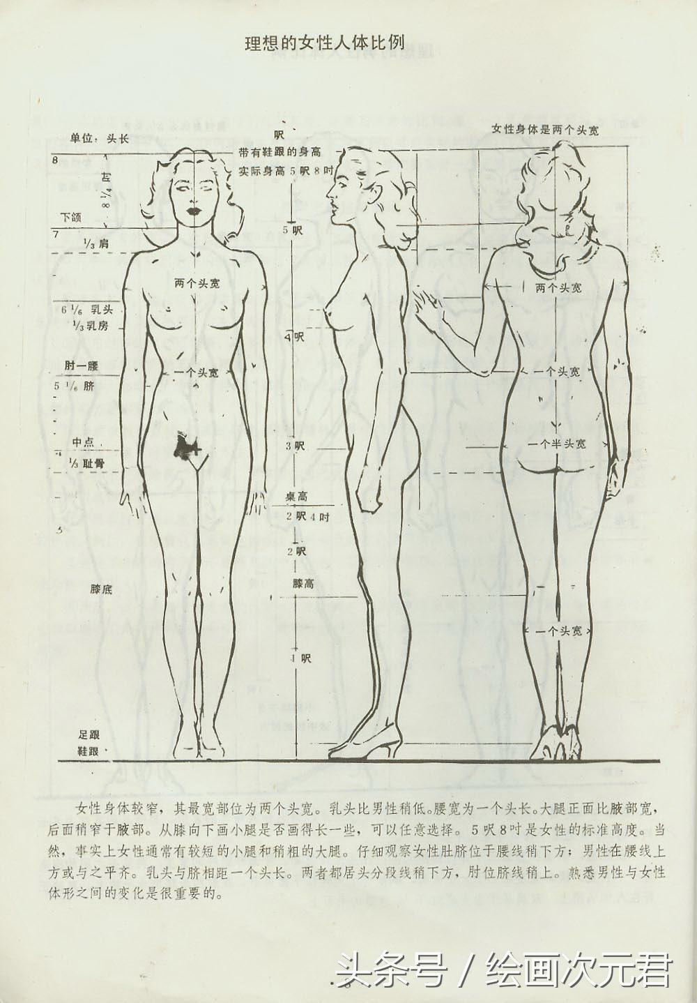 人体结构怎么画？教你如何绘画人体动态的技巧！