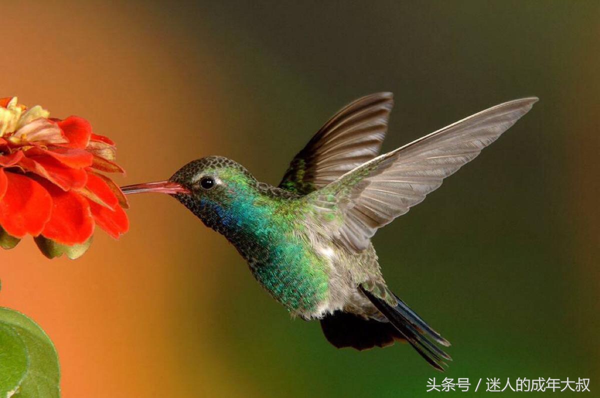 这些冷知识让你涨姿势,超实用的冷知识你知道几个