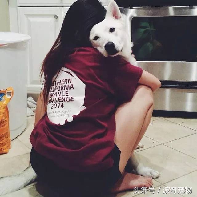 狗狗和你亲的几个表现,当你和你家的狗对视