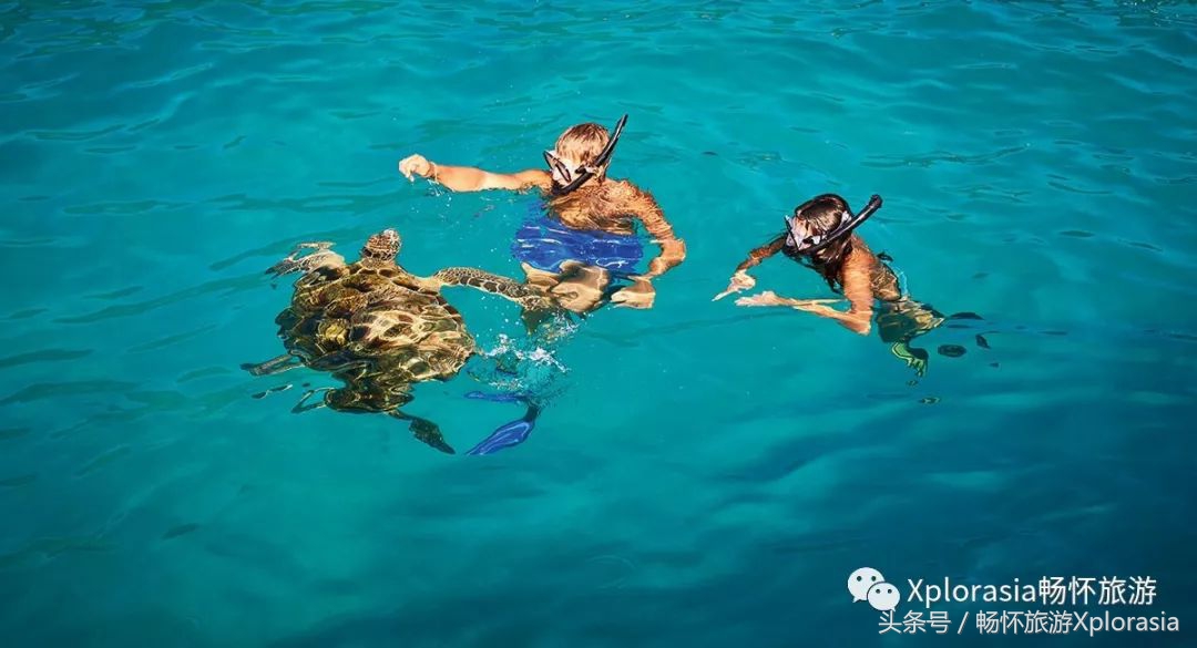 去热浪岛要准备什么,去热浪岛穿什么
