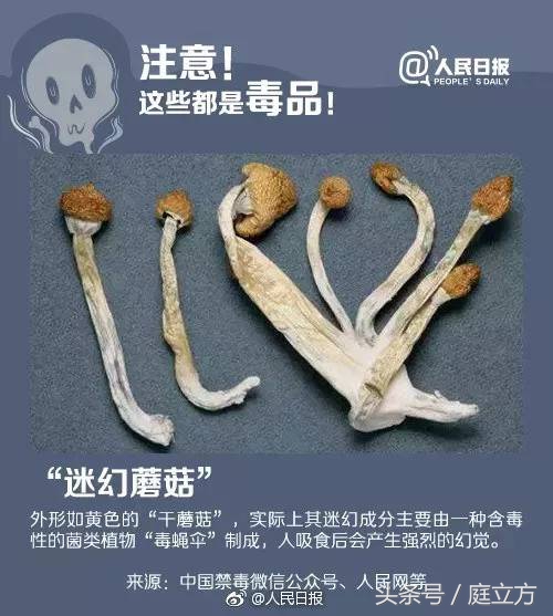 民警提醒新型毒品,公安监管的剧毒化学品共几种