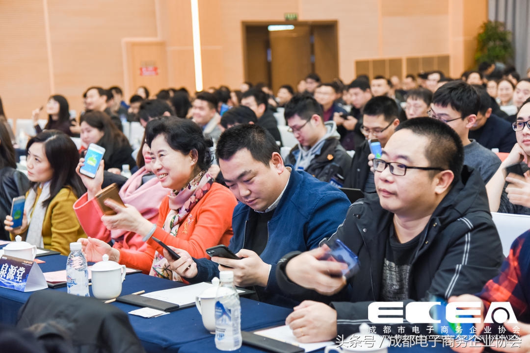 成都市跨境电子商务协会,成都市电子商务协会