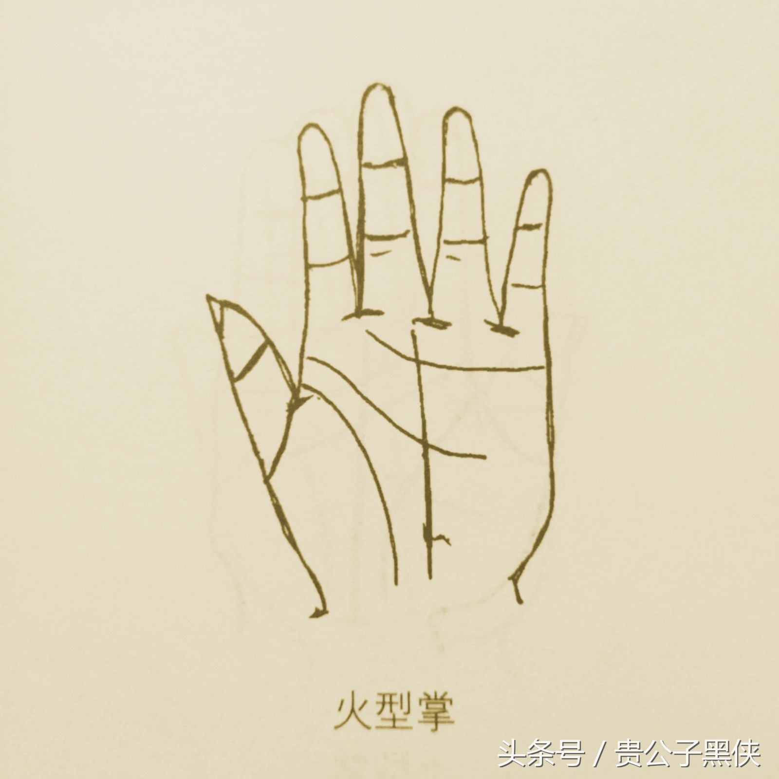 看手相算命的基本话术,学会看手相能给好朋友看吗