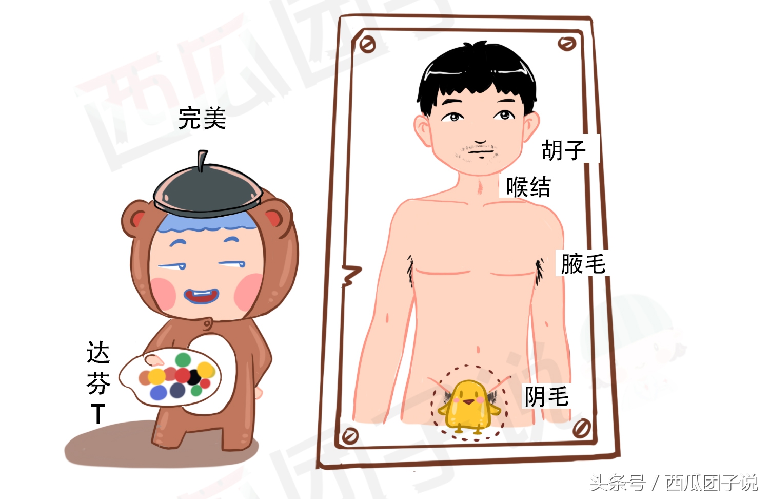 性激素6项对女性身体有什么影响,女生的性激素6项要什么才标准