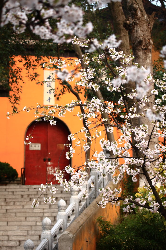 南京两日游攻略门票预约,南京两日游攻略带孩子最佳路线