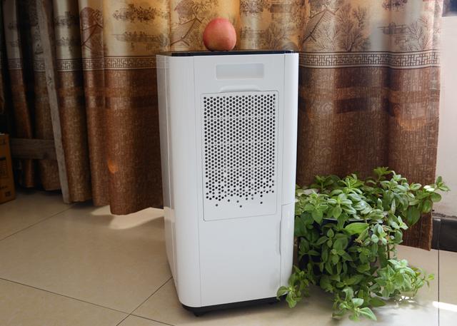 家里潮湿怎么办最有效的方法推荐,家里潮湿怎么解决最有效