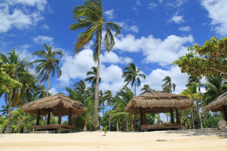 世界上贝壳里面最大的珍珠,最大珍珠贝壳