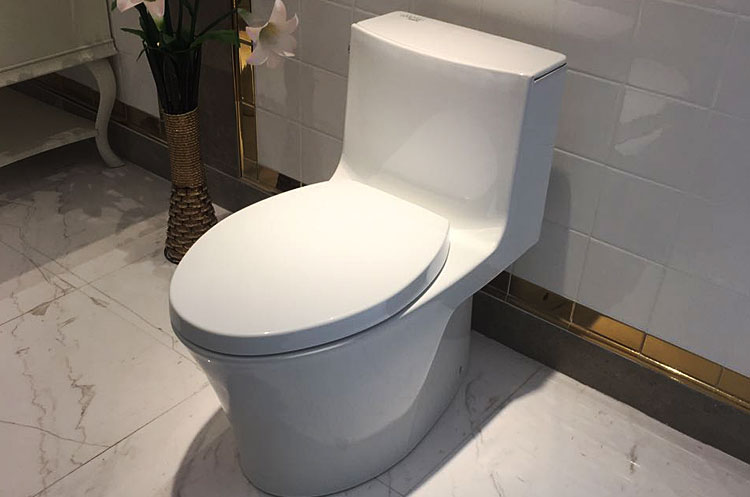 洋品牌马桶,马桶国外天价