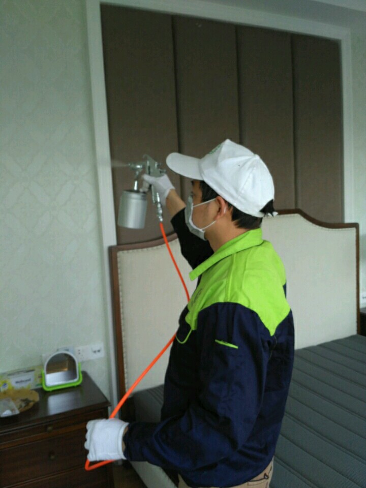 家庭装修最毒的不是甲醛是什么,最正确的开窗除甲醛方法