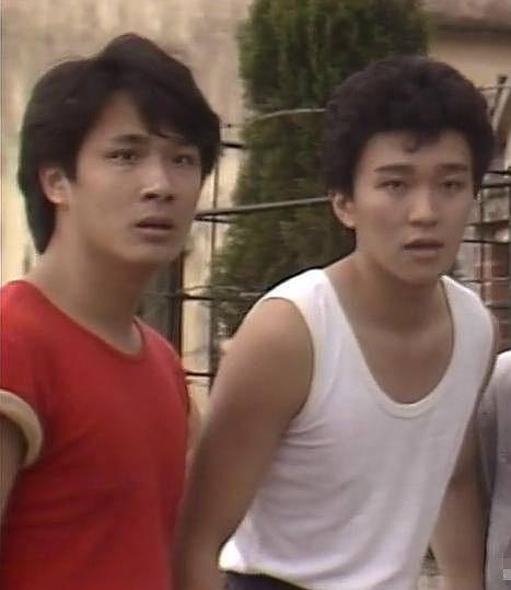 何家劲吴镇宇李婉华,李婉华对何家劲的感情