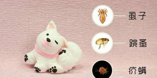 80年代头上为什么会有虱子,30年前都有虱子