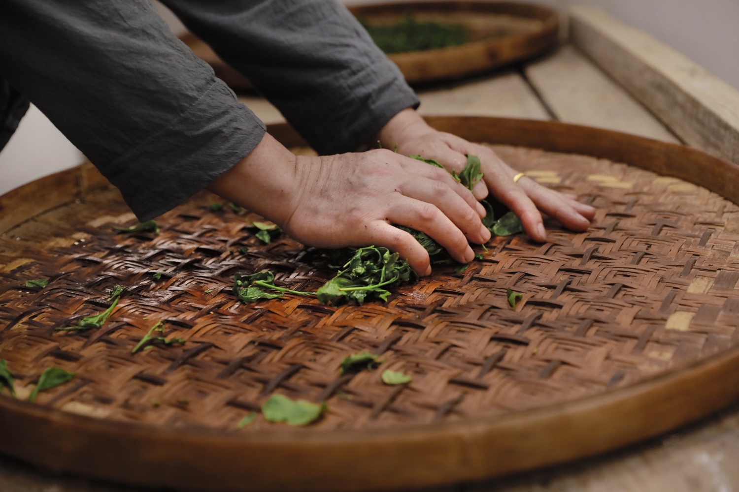 bmw中国文化之旅是什么,bmw中国文化