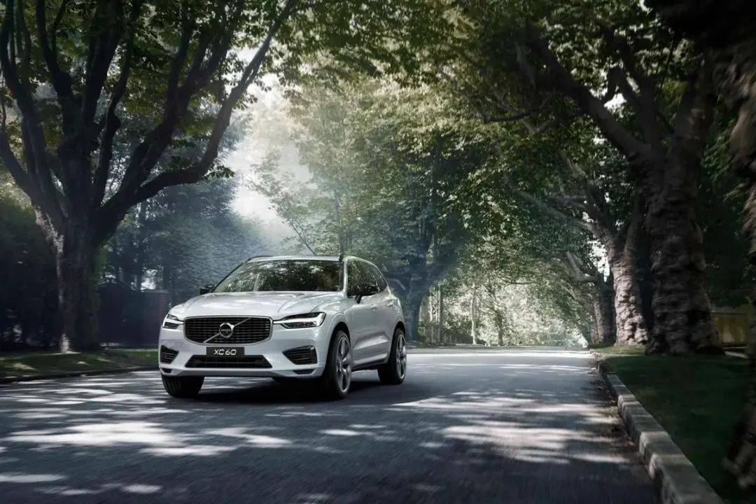 10万至20万口碑最好的中型suv,10万块买台用料超足的豪华中型suv