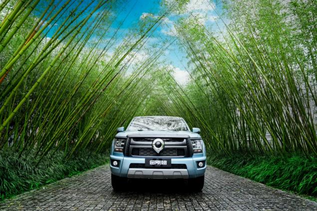 长城金刚炮四驱新款2024款落地价,长城炮suv5座最新款车