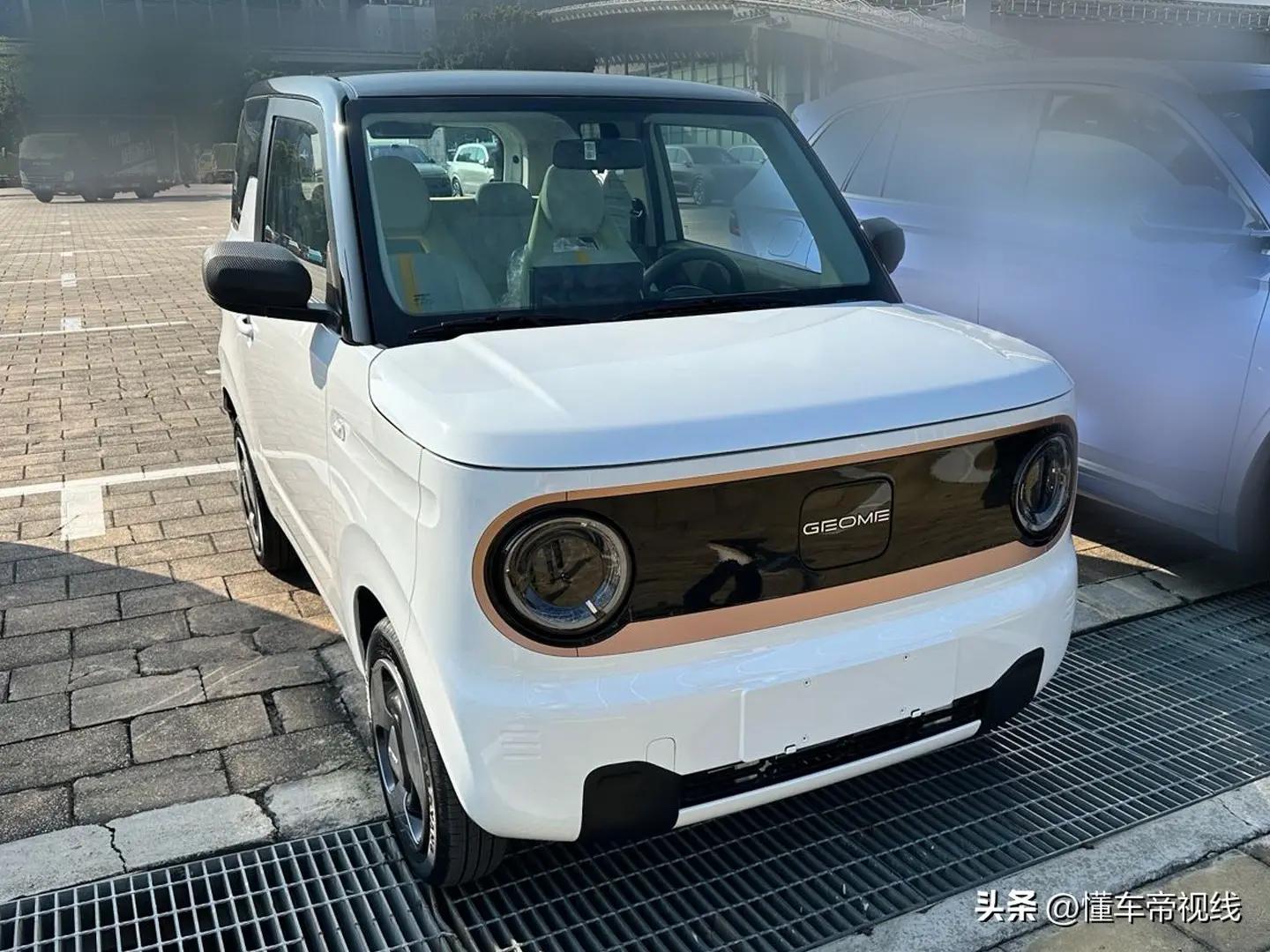 吉利熊猫和五菱mini,吉利熊猫mini电动汽车会再降价吗