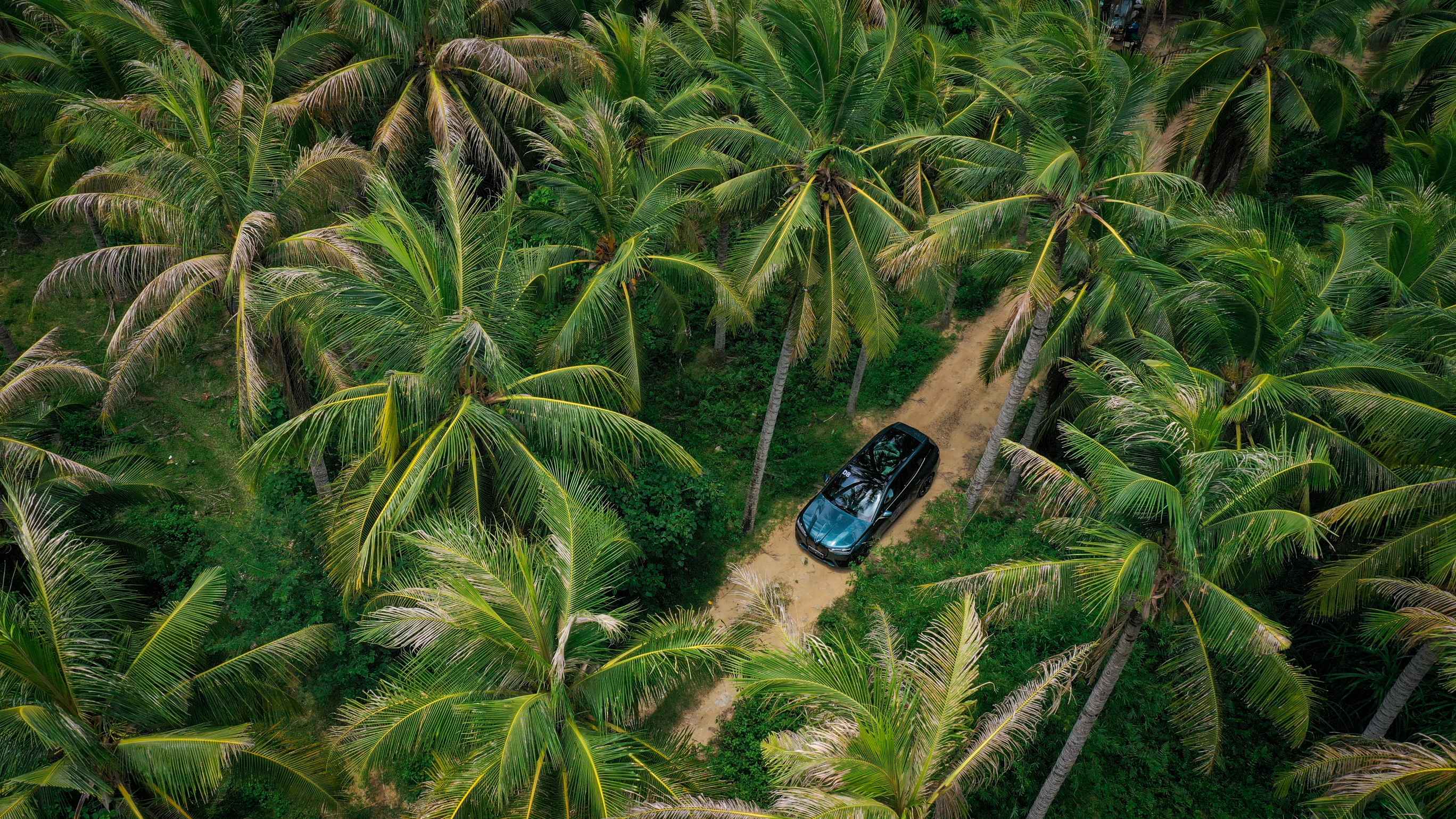 bmw鍗楀尯涓変簹,bmw鏂板勾鏃呰