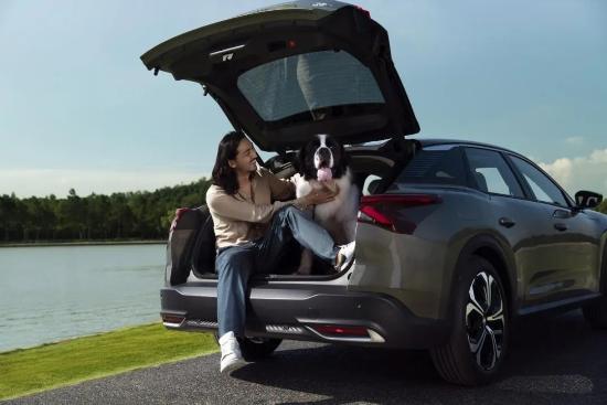 经典款凡尔赛二级车落地价,八万左右凡尔赛哪个车好