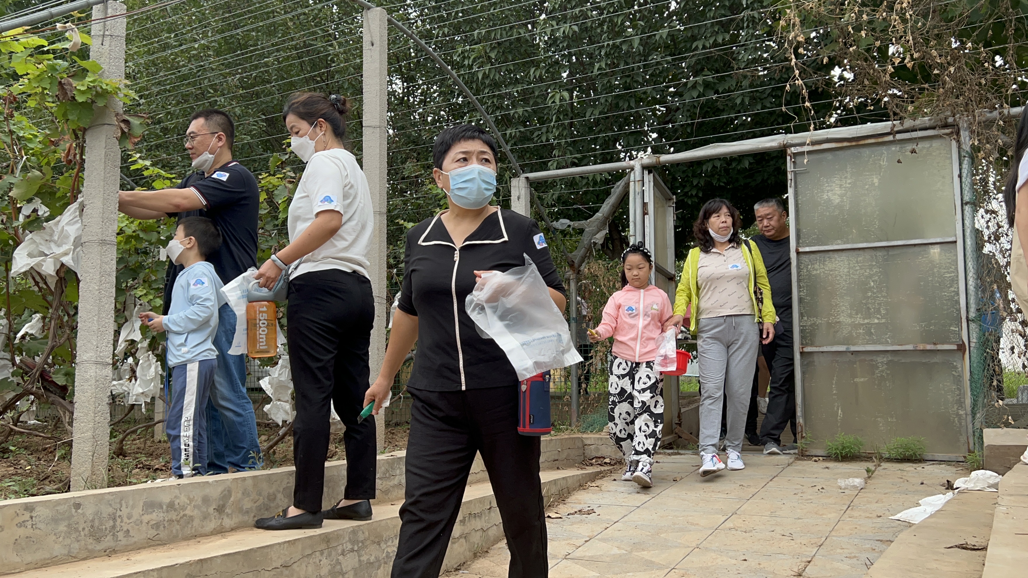 鍚箰灏忛晣閭兏,閭兏鍚箰灏忛晣